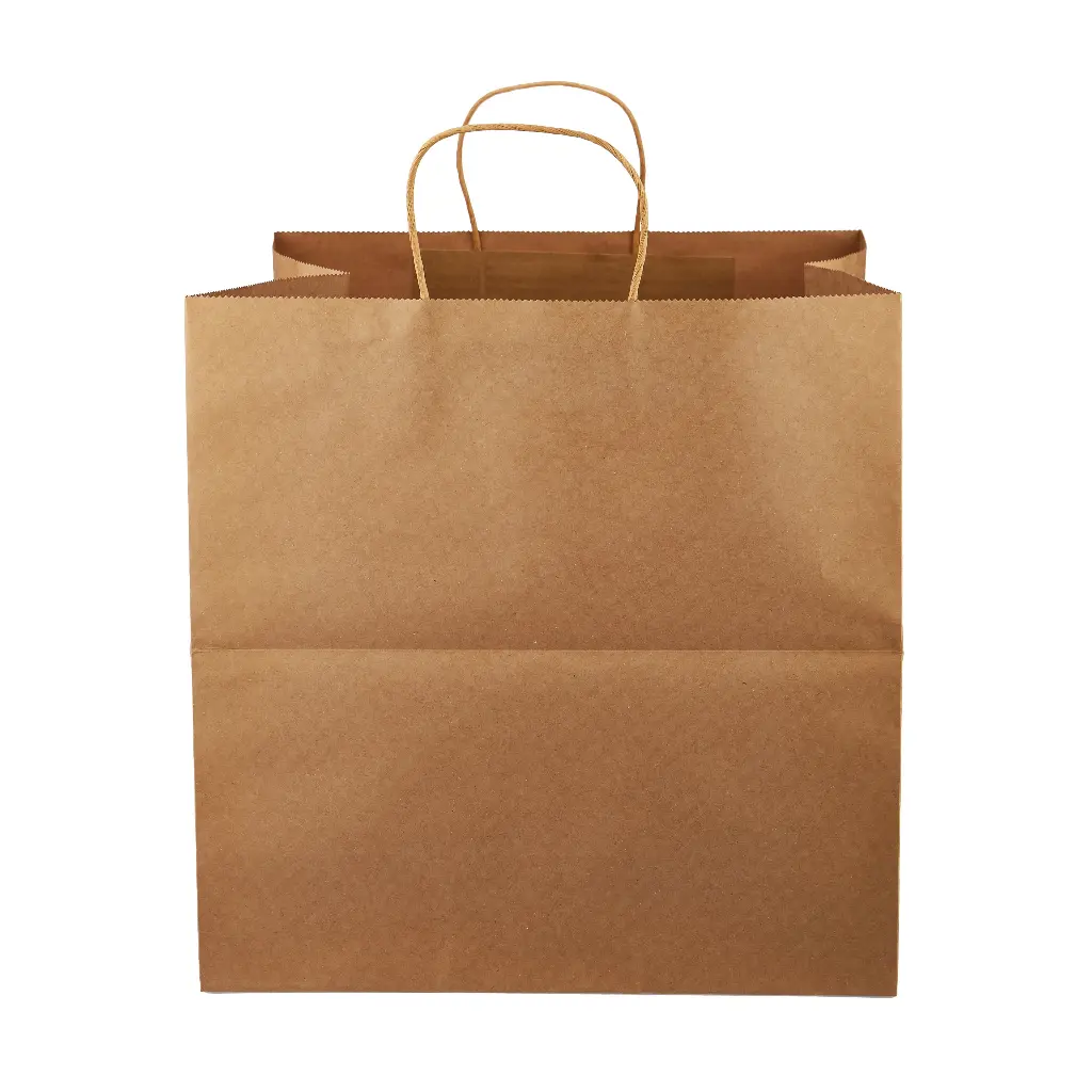 Paper Bag CB08 Carton 250pcs
